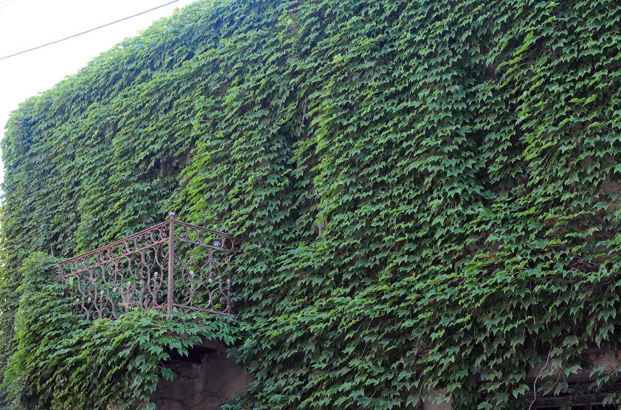 Old Walls 1 Tbilisi Eksteriør bilde